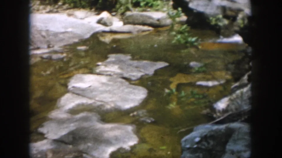 1958 Dayton, Ohio 8mm frame of shallow creek water moving through flat rocks and vegetation.