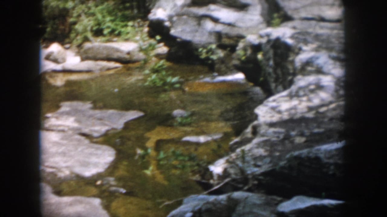 1958 Dayton, Ohio home-movie frame showing a shallow rocky stream bordered by dense green vegetation.