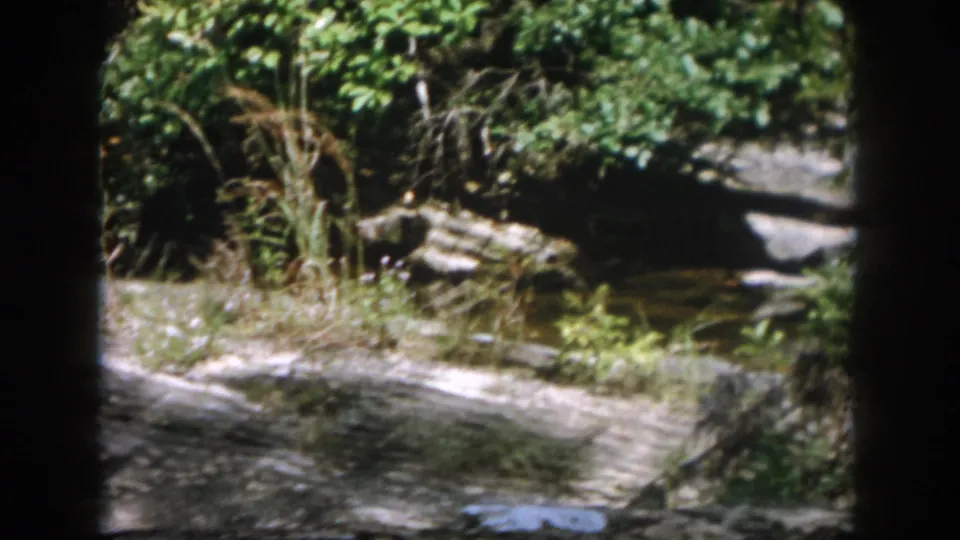 A wooded Dayton, Ohio creek bank with grass, rocks, and shallow water in 1958 8mm footage.