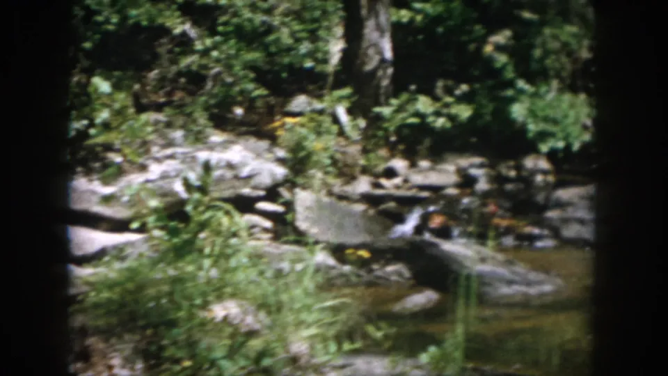 A rocky wooded stream in Dayton, Ohio appears with tree trunks and dense greenery in 1958 home-movie footage.