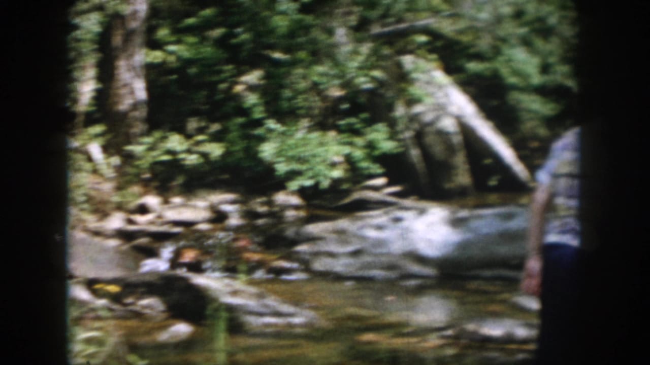 1958 Dayton-area home-movie frame showing a shallow rocky stream in dense woods with part of an adult figure at the edge.