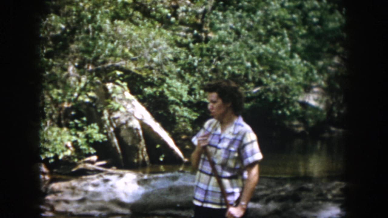 Adult woman in a plaid shirt stands by a rocky stream in dense woods.