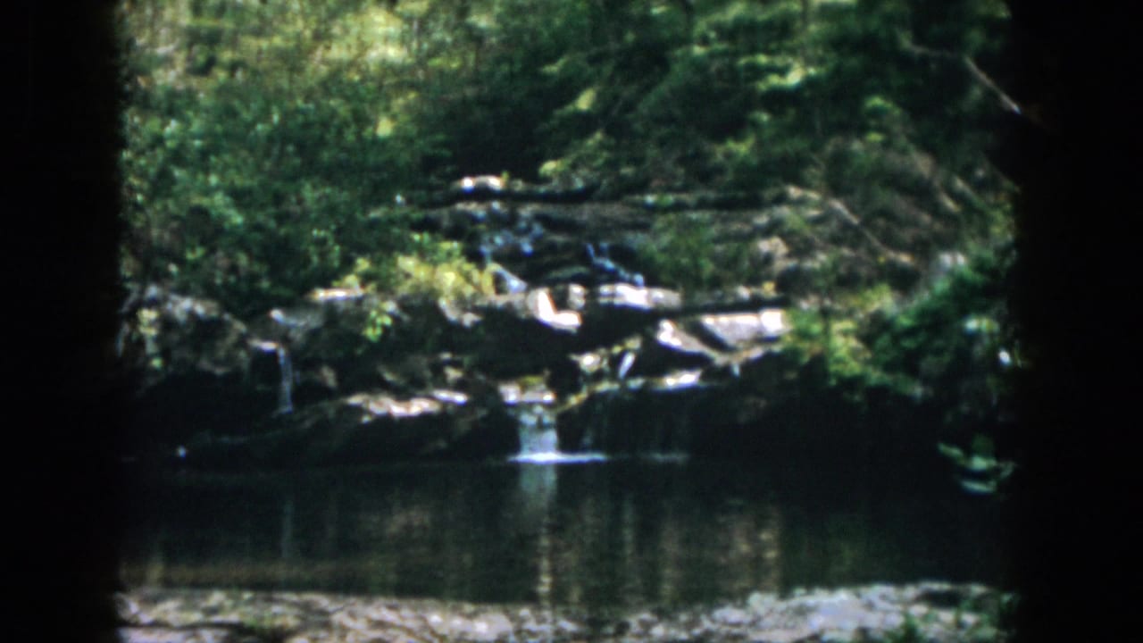 Wooded river scene with a small cascade and rocks under tree cover.
