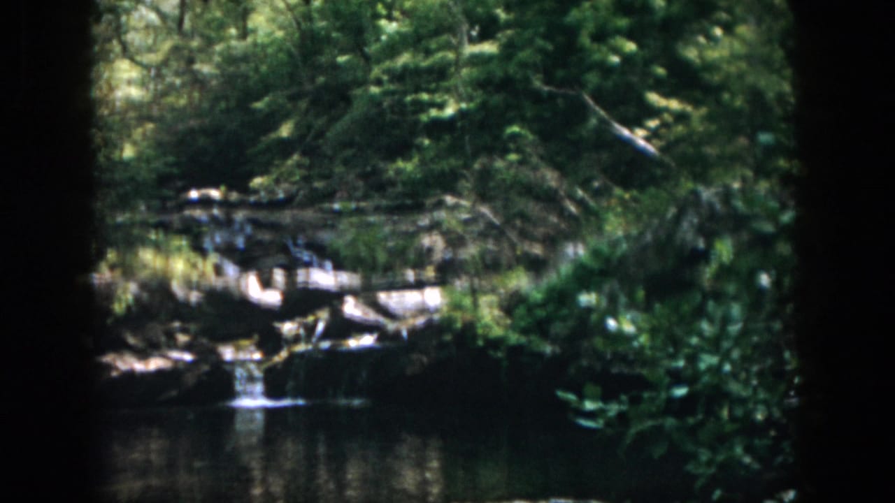1958 Dayton-area 8mm frame showing a small rock waterfall emptying into a shaded pond surrounded by dense green foliage.