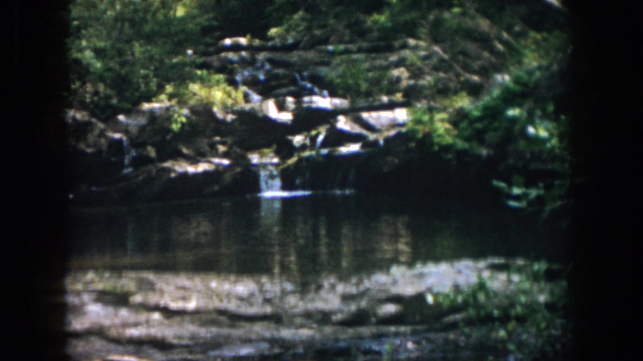 Rocky stream edge and still pond bordered by greenery.