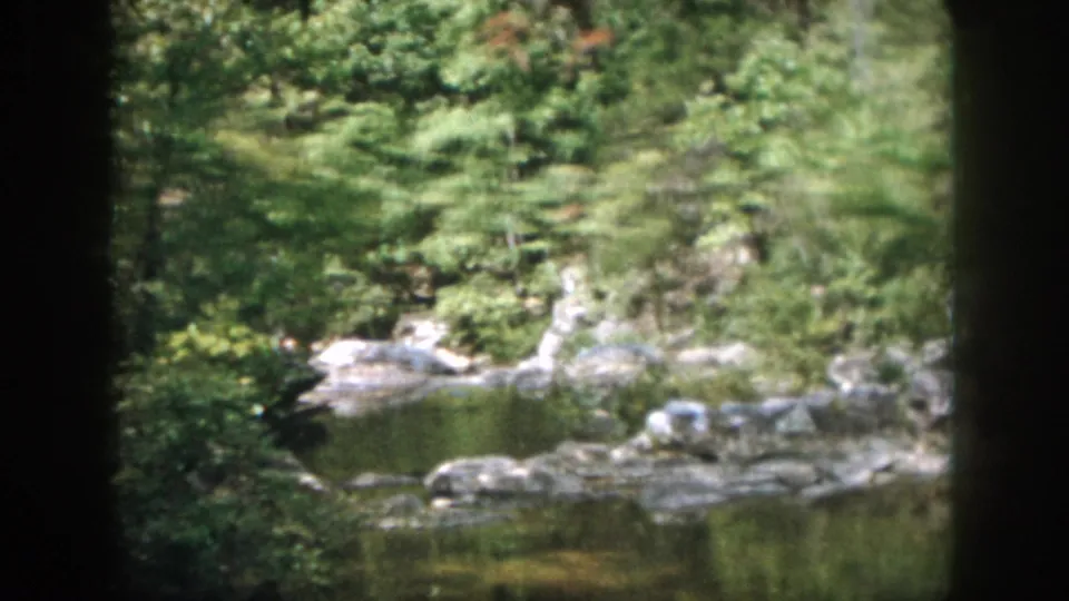 The closing frame shows a quiet rocky pond in the wooded Dayton setting, with trees and reflected water dominating the view.