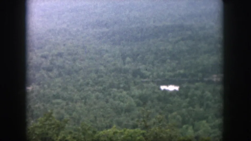 1958 8mm home-movie frame looking over dense green forest toward a small reflective body of water.