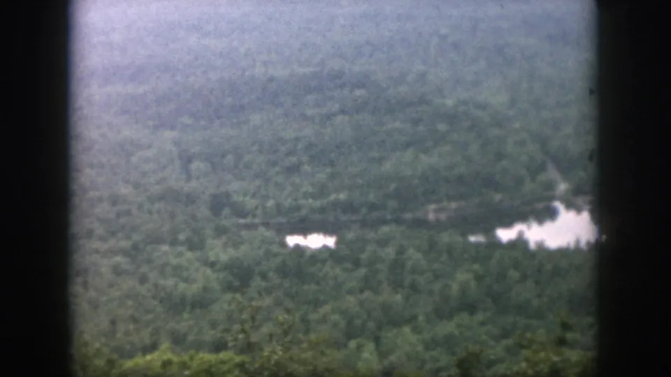 1958 8mm home-movie frame of a forested overlook with pale water patches and soft small-gauge film texture.