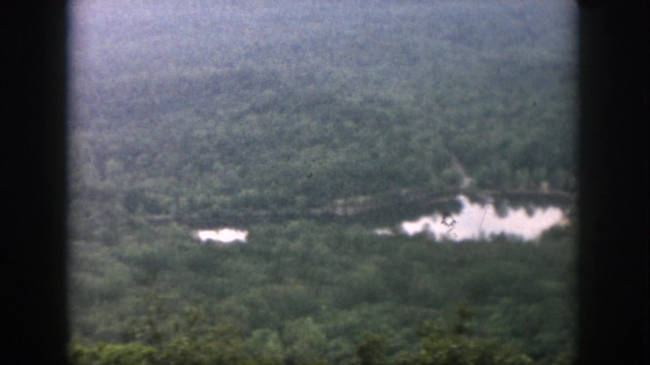 1958 Dayton-area 8mm aerial view of dense forest with pale reflective ponds seen through dark window framing.