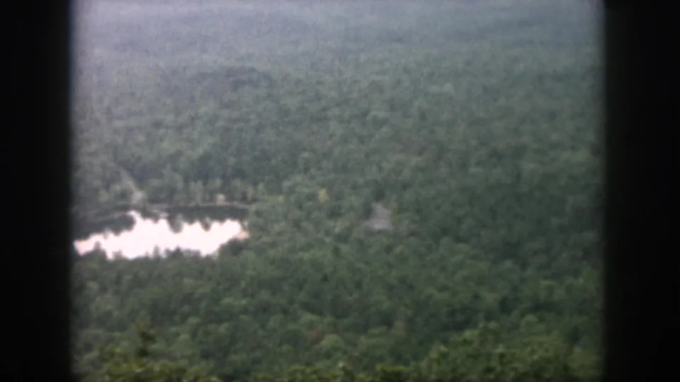 1958 Dayton-area aerial view of dense trees with a reflective pond near the lower left of the frame.