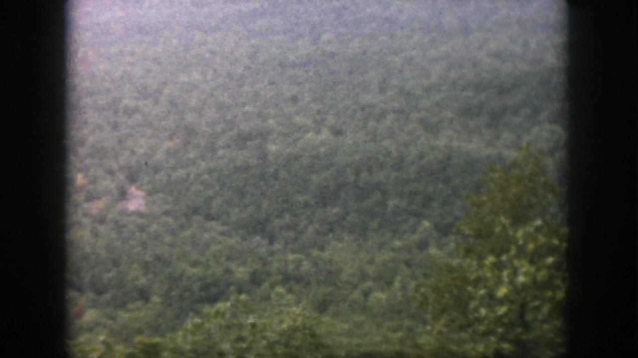 1958 8mm home-movie frame showing a dense green forested slope viewed through dark window mullions.