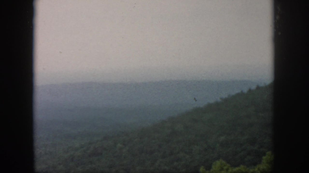Wooded hillside and hazy distant ridges framed by dark vertical edges.