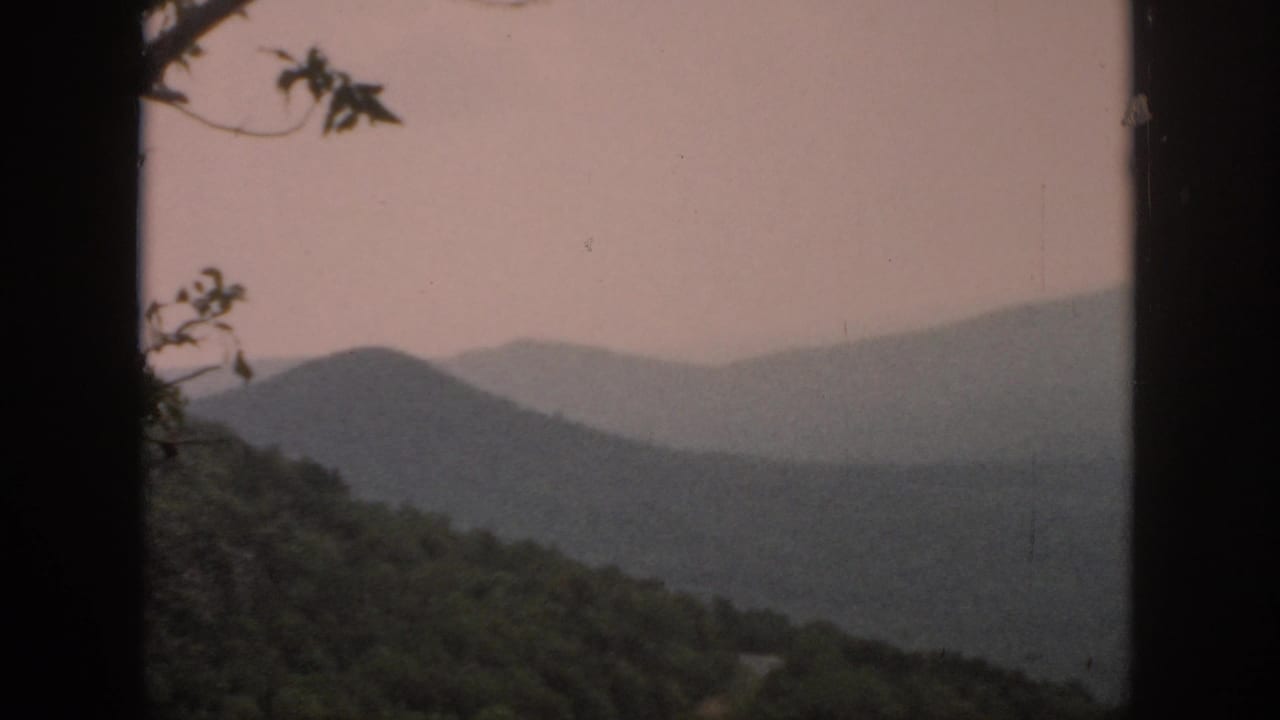Hazy mountain ridges with wooded slope and branches crossing the upper frame.