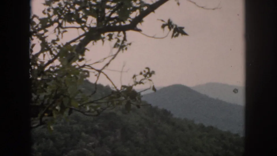 A 1958 8mm landscape frame with leafy branches, dark frame edges, forested slopes, and hazy distant mountains.