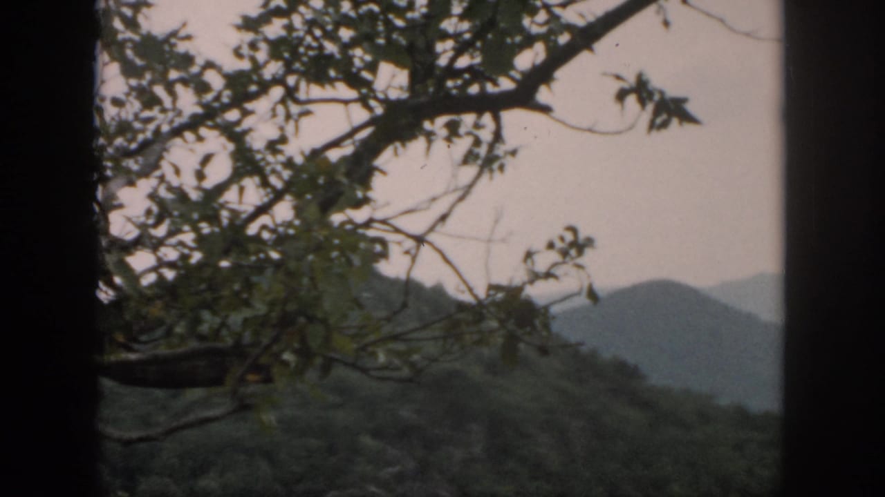 1958 8mm frame from metadata showing hazy hills and tree branches, likely part of the Dayton, Ohio home-movie clip.
