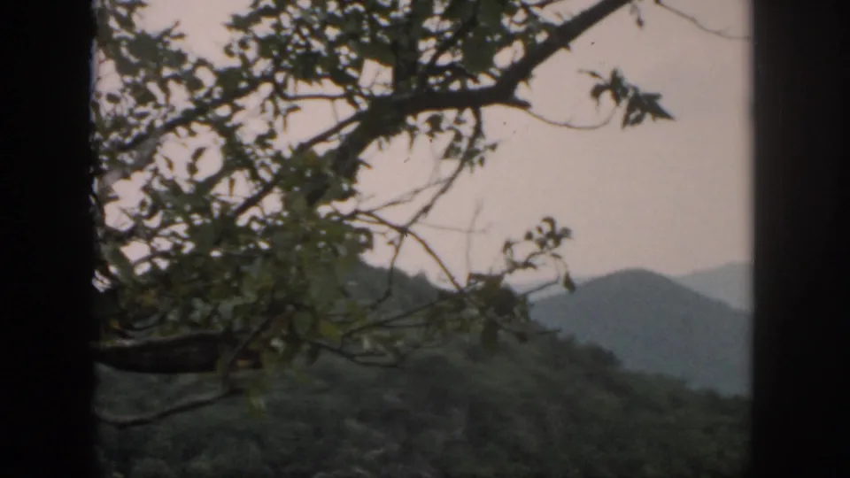 1958 8mm frame from metadata showing hazy hills and tree branches, likely part of the Dayton, Ohio home-movie clip.