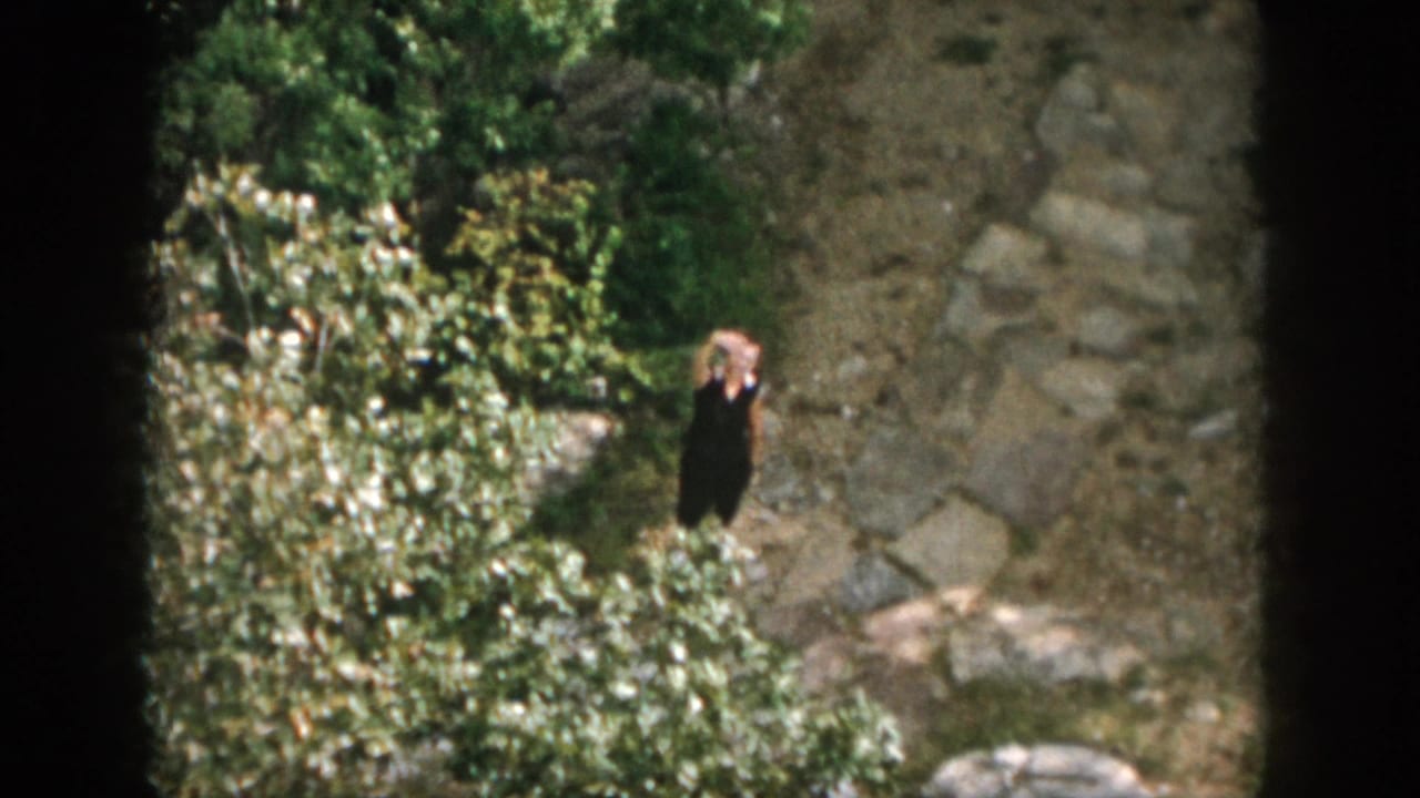 Distant person in dark clothing waving on a rocky path beside foliage.
