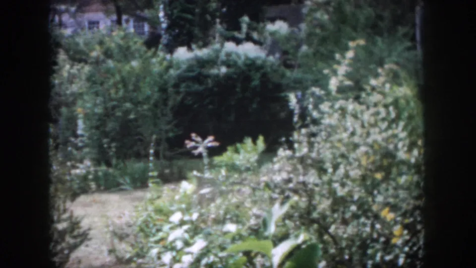 1958 Dayton backyard garden frame with lawn, shrubs, blossoms, trees, and the soft dark edges of scanned 8mm film.