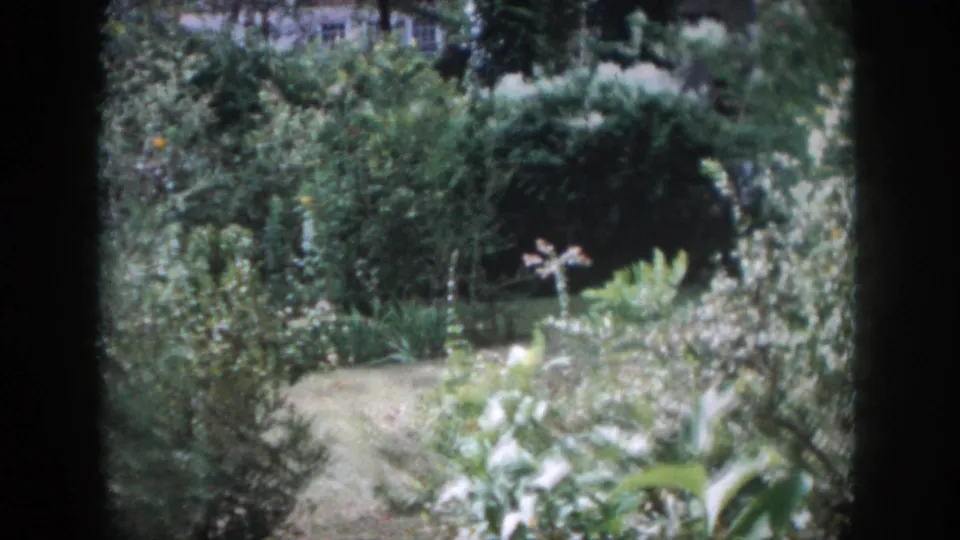 1958 Dayton home-movie frame showing a lush backyard garden with shrubs, flowers, grass, and a winding path.