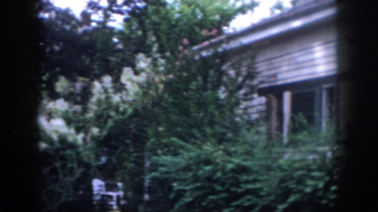 1958 Dayton backyard view with dense shrubs, tree cover, a house exterior, and a white patio chair in the garden.