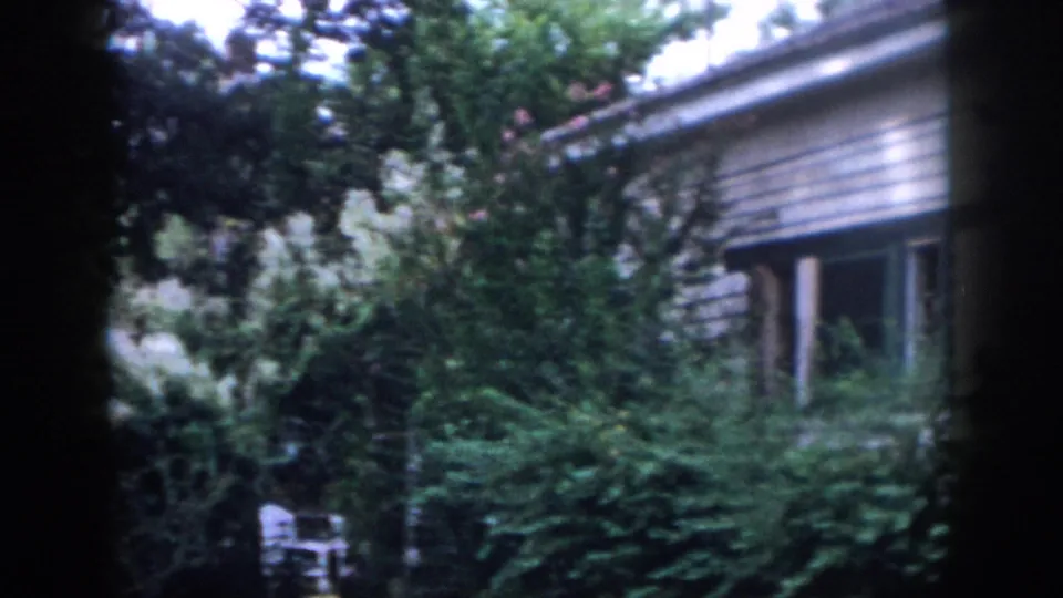 1958 Dayton backyard view with dense shrubs, tree cover, a house exterior, and a white patio chair in the garden.
