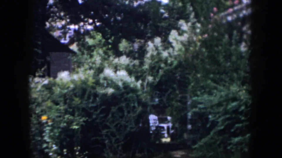 1958 Dayton home-movie frame showing thick backyard vegetation, trees, and a partly hidden residential structure.