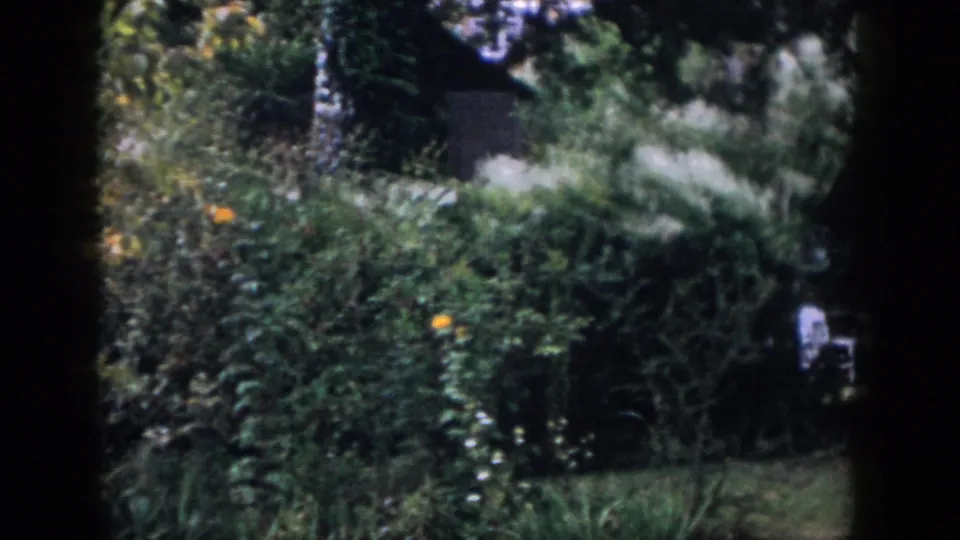 1958 Dayton backyard frame with flowering shrubs, layered greenery, lawn, and a white outdoor chair near the edge.