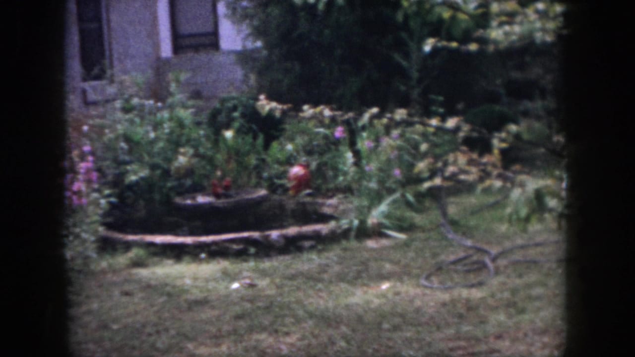 1958 Dayton backyard view with a stone-edged garden feature, red ornaments, hose, lawn, plants, and partial house exterior.