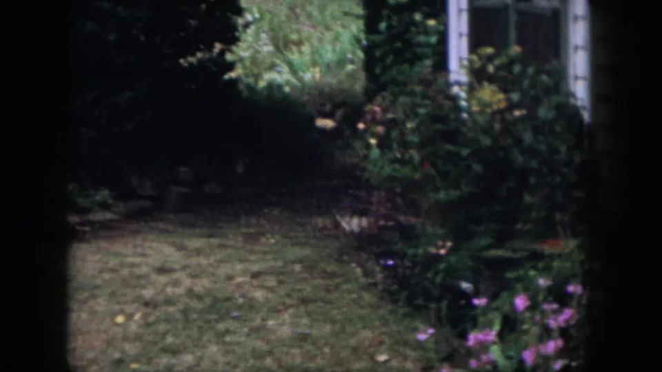 1958 Dayton backyard frame showing grass, shrubs, flowers, a house window area, and dark foreground borders.