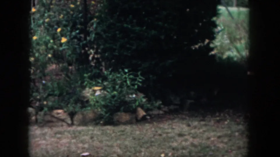 1958 Dayton garden view with lawn, low rocks, shrubs, small flowers, and heavy dark foreground framing.