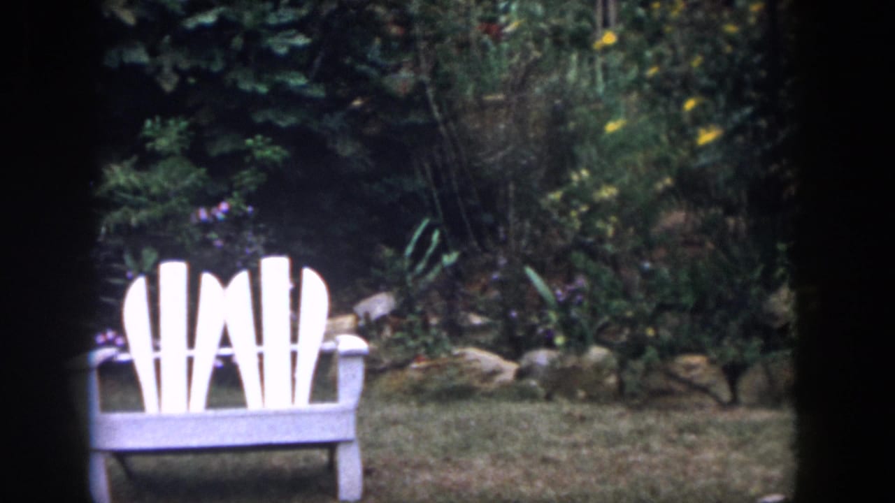 White Adirondack-style bench in a Dayton backyard garden, with shrubs, lawn, flowers, and stone edging visible.