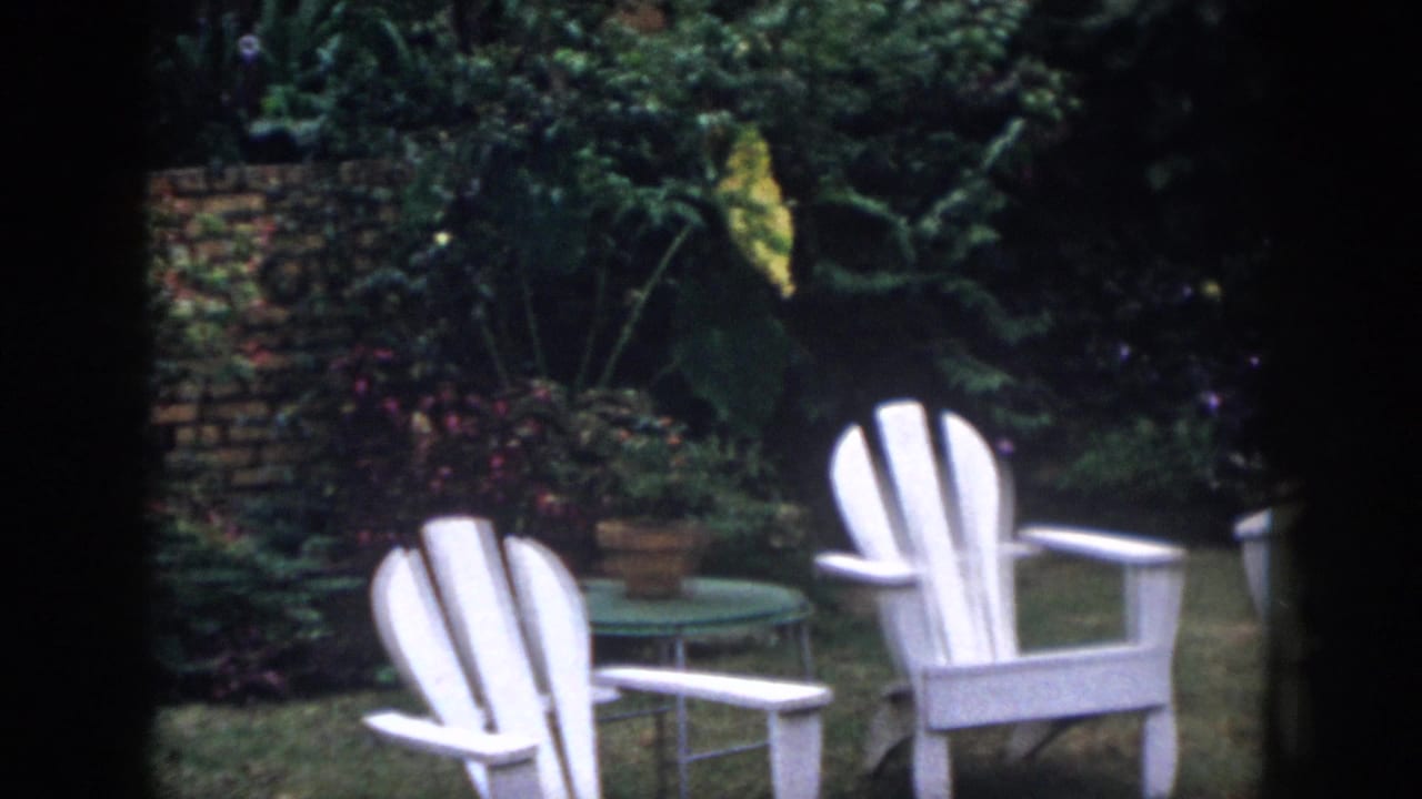 White Adirondack chairs in a garden with brick wall and dense greenery.