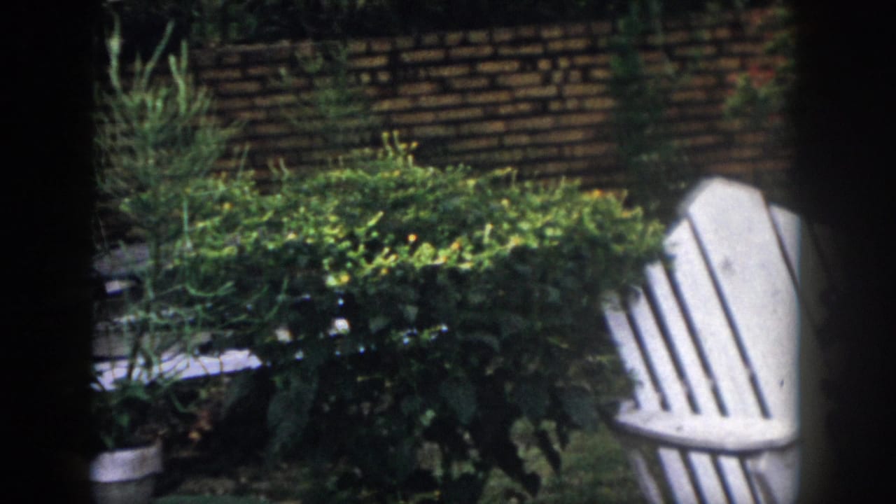 White slatted lawn chair beside green shrubs and a low brick garden wall.
