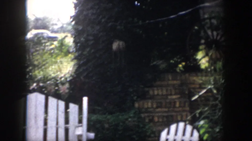 1958 Dayton, Ohio 8mm frame showing a sun-dappled backyard with ivy, shrubs, a white outdoor chair, and a dark wooden wheel form.