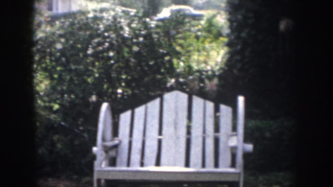 White Adirondack-style chair beside dense backyard shrubs and bright garden light.