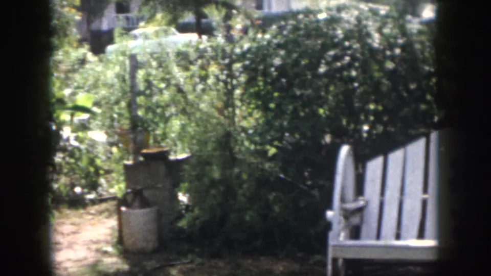 1958 Dayton, Ohio backyard view with a dirt path, potted plant, overgrown shrubs, and part of a white chair near the edge of frame.