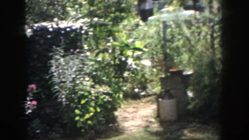 1958 Dayton, Ohio 8mm frame showing a narrow dirt path, leafy plantings, a pot, and a small rustic pump-like garden feature.