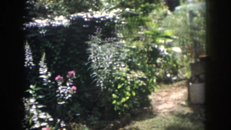 1958 Dayton home-movie frame showing a sun-dappled shaded garden with dense foliage, flower spikes, and a small path beyond a dark foreground frame.
