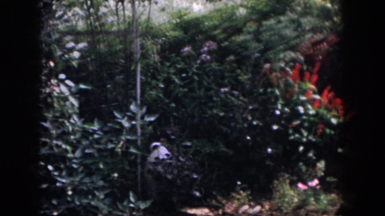 1958 Dayton home-movie frame showing a shaded backyard garden with leafy shrubs, red flowers, and a pale ornament partly hidden by plants.