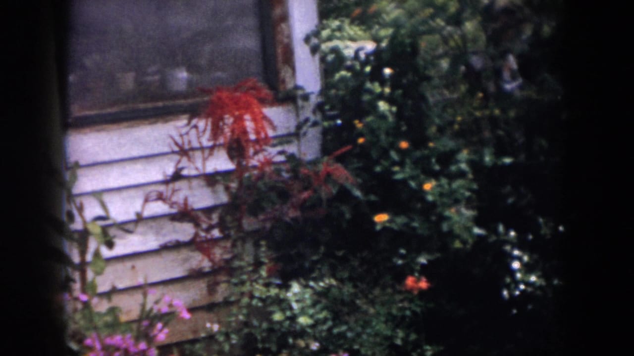 White house siding behind dense garden plants and red flowers.