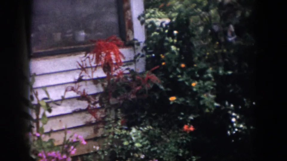Dayton, Ohio 1958 home-movie frame showing weathered white house siding, a dark window, leafy shrubs, and red garden flowers.