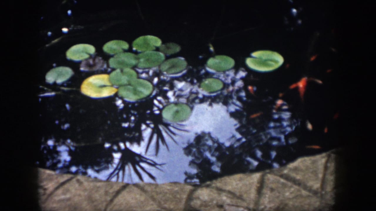 1958 Dayton home-movie frame showing lily pads, dark pond water, reflections, and a stone pond border.