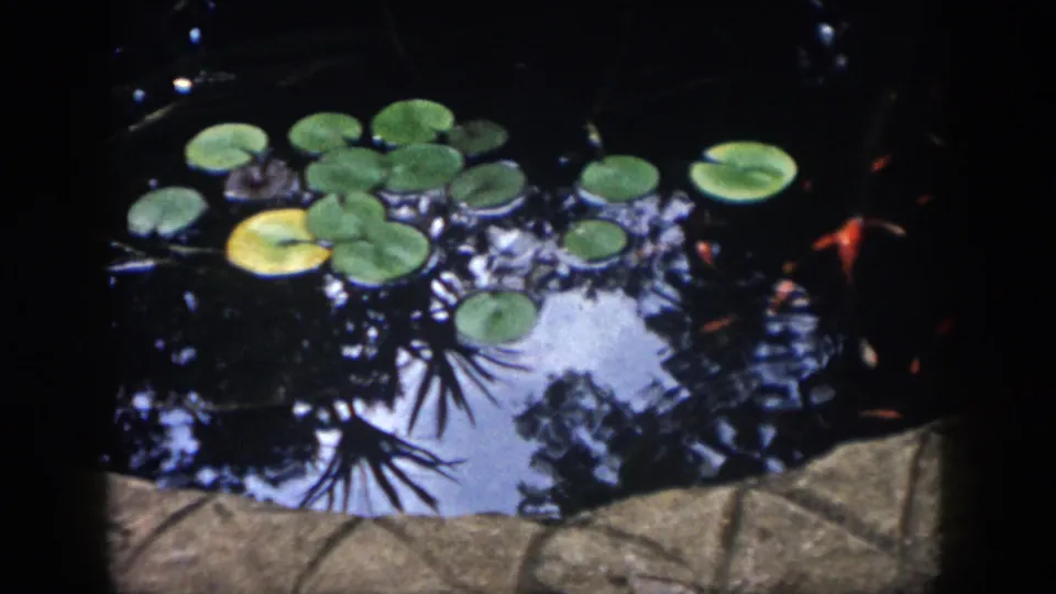 1958 Dayton home-movie frame showing lily pads, dark pond water, reflections, and a stone pond border.