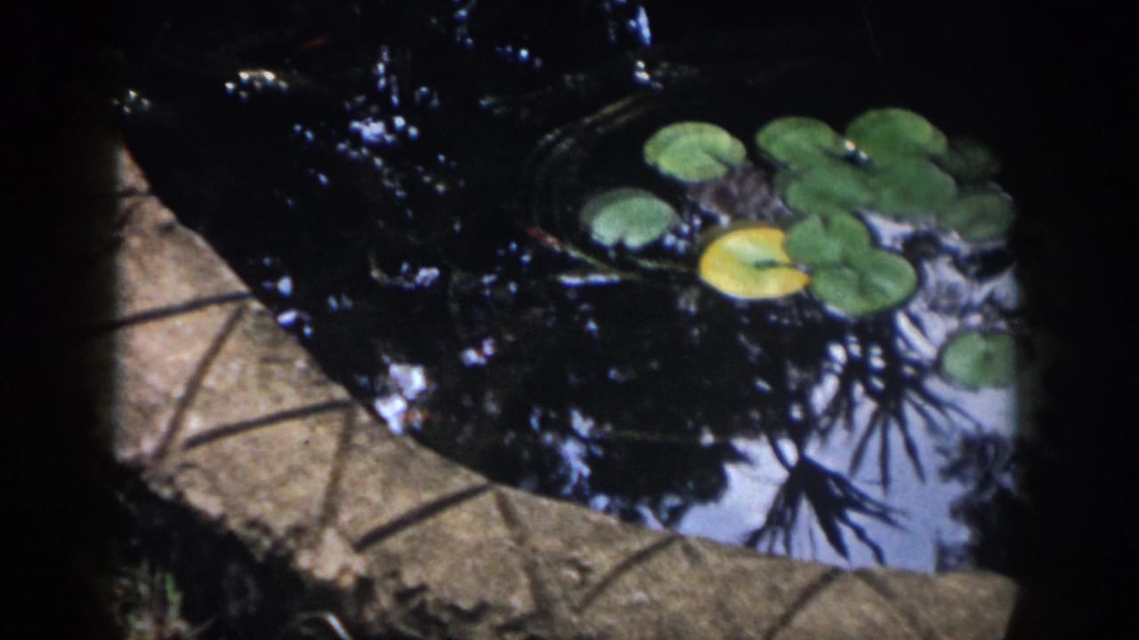 1958 Dayton garden pond view with lily pads, curved stone edging, and foliage reflections in the water.