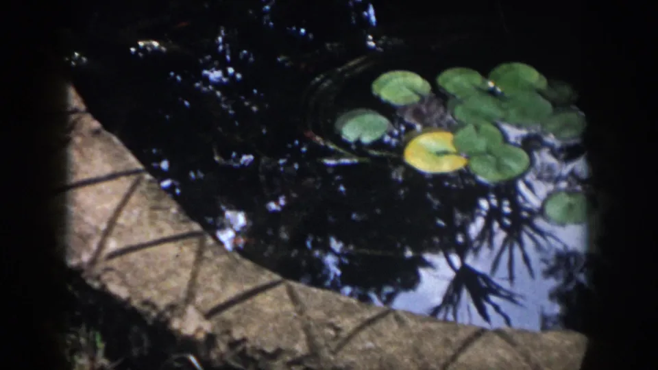1958 Dayton garden pond view with lily pads, curved stone edging, and foliage reflections in the water.