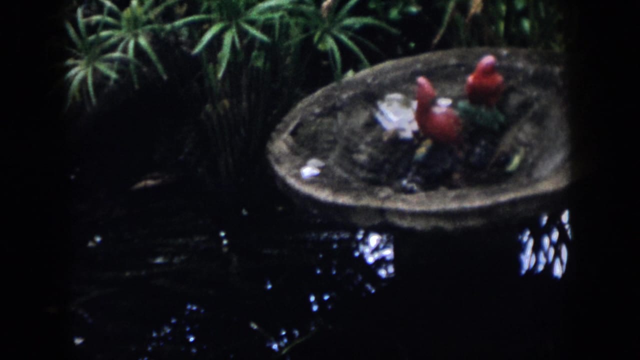 1958 Dayton home-movie frame showing a stone birdbath with red bird figures above dark pond water and dense greenery.