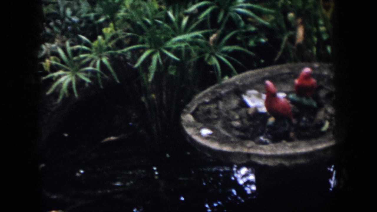 Birdbath with red bird figures near pond water, surrounded by green garden plants.