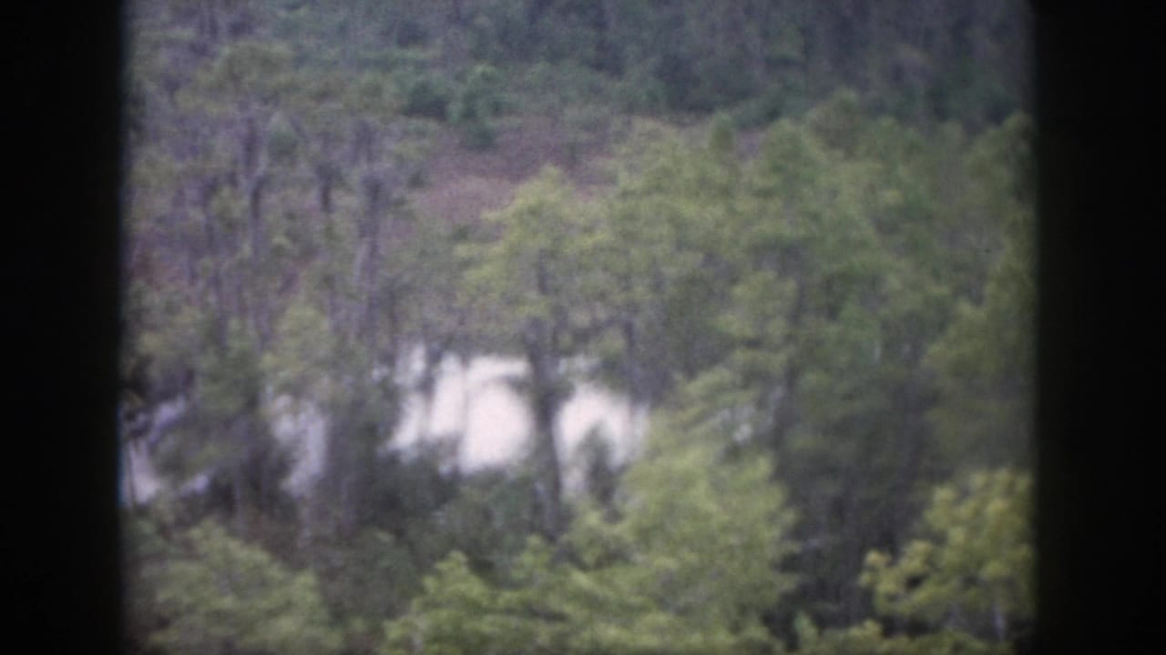 1958 Dayton-area 8mm frame showing an elevated view over trees, with a pale waterway or clearing partly visible through the foliage.