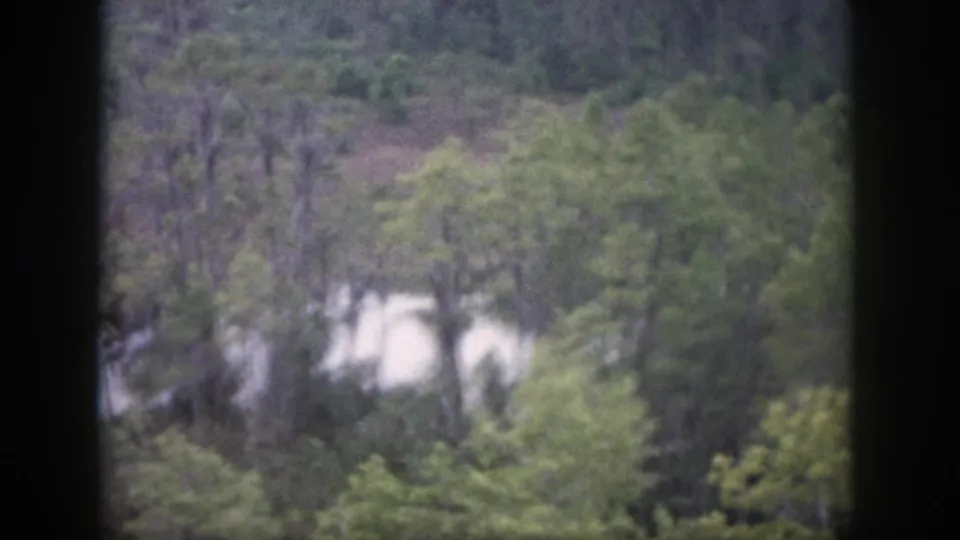 1958 Dayton-area 8mm frame showing an elevated view over trees, with a pale waterway or clearing partly visible through the foliage.