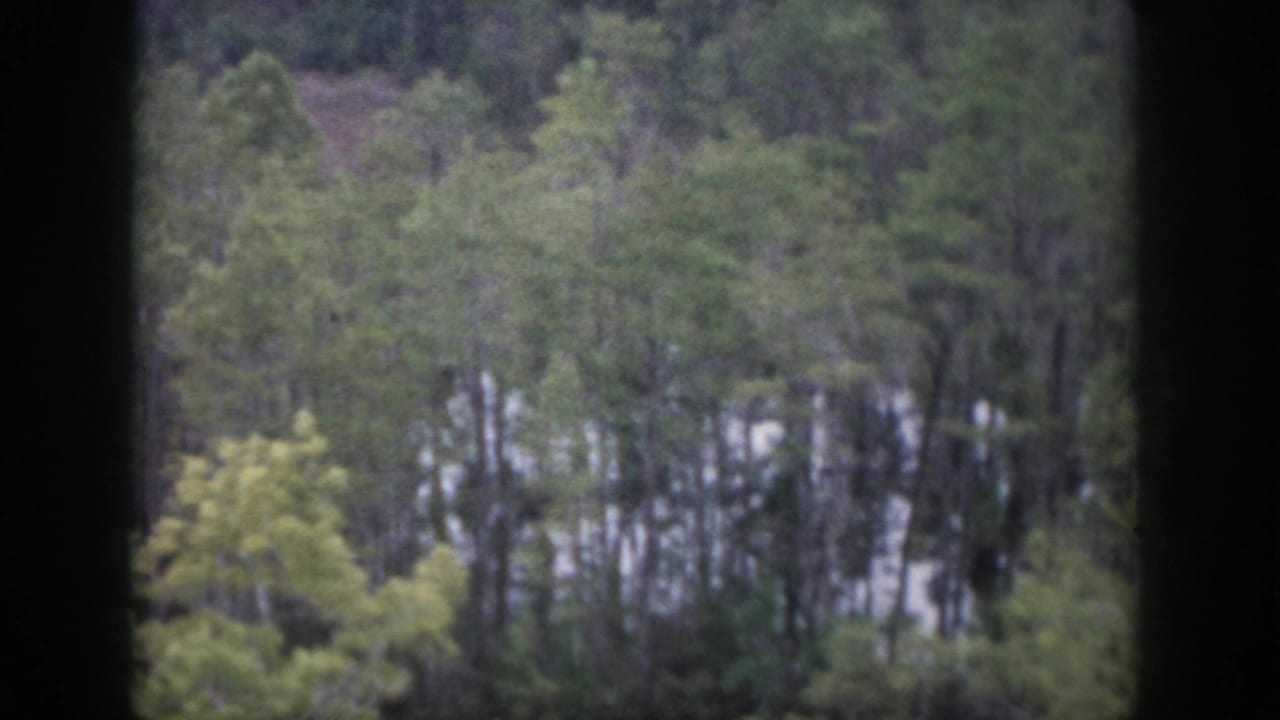 1958 8mm home-movie frame from Dayton, Ohio, showing a wooded slope through dark window muntins with pale ground or light beyond the trees.